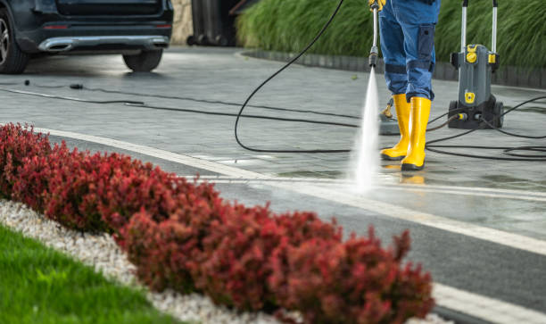 Best Dumpster Area Cleaning  in Willards, MD